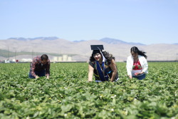 chinaskee:  mariposa-reina:  Mami, papi, we did it! After 22 long years of picking strawberries, nurturing the fresas, day after day, being kissed by the sun, I am finally your fruition today. I am the fresa you’ve worked so hard to preserve, to love,