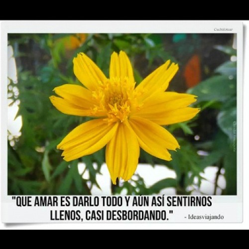 #InstaSize #Cuchifotear #ideasviajando #frases