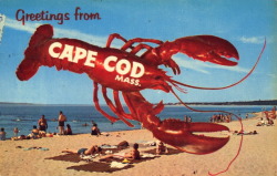 Bad-Postcards:  Greetings From Cape Cod, Massachusetts   