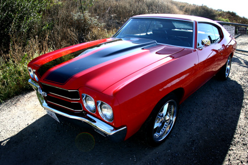 ineeditharder:throttlestomper:1970 Chevy Chevelle SSI have a car just like this! Fucking love it!