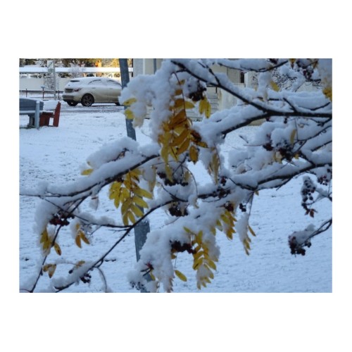 Sweet Winter...