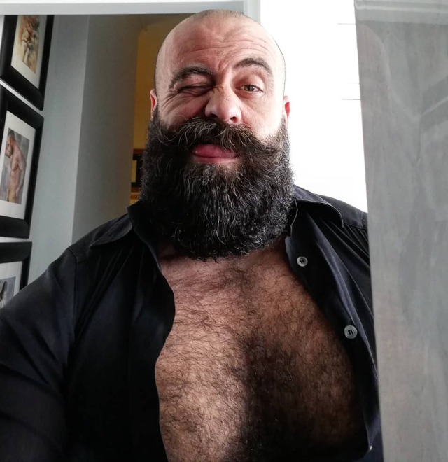 hairy-muc-bear:2021.01.28.Thursday&rsquo;s BILFS in Open Shirts Next Door Bulls