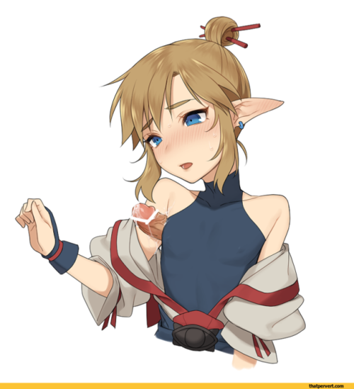 whatthefuckhuh: Link from Zelda