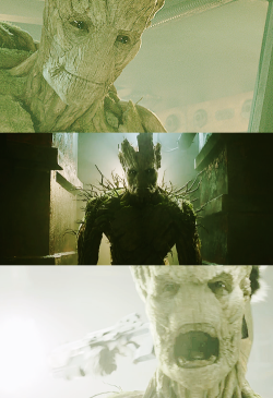 clintbartons:  We are Groot. 