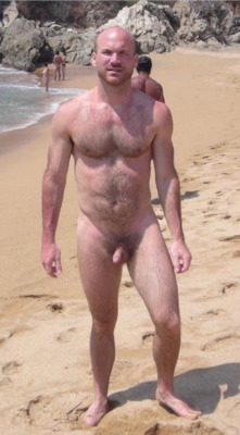 mydaddyishairy:   My Daddy is Hairy - over 116,000 followers: Archive  