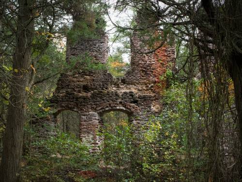 The Pine Barrens, New Jersey