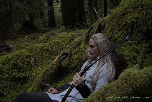 @mirkwood.elf.adventures