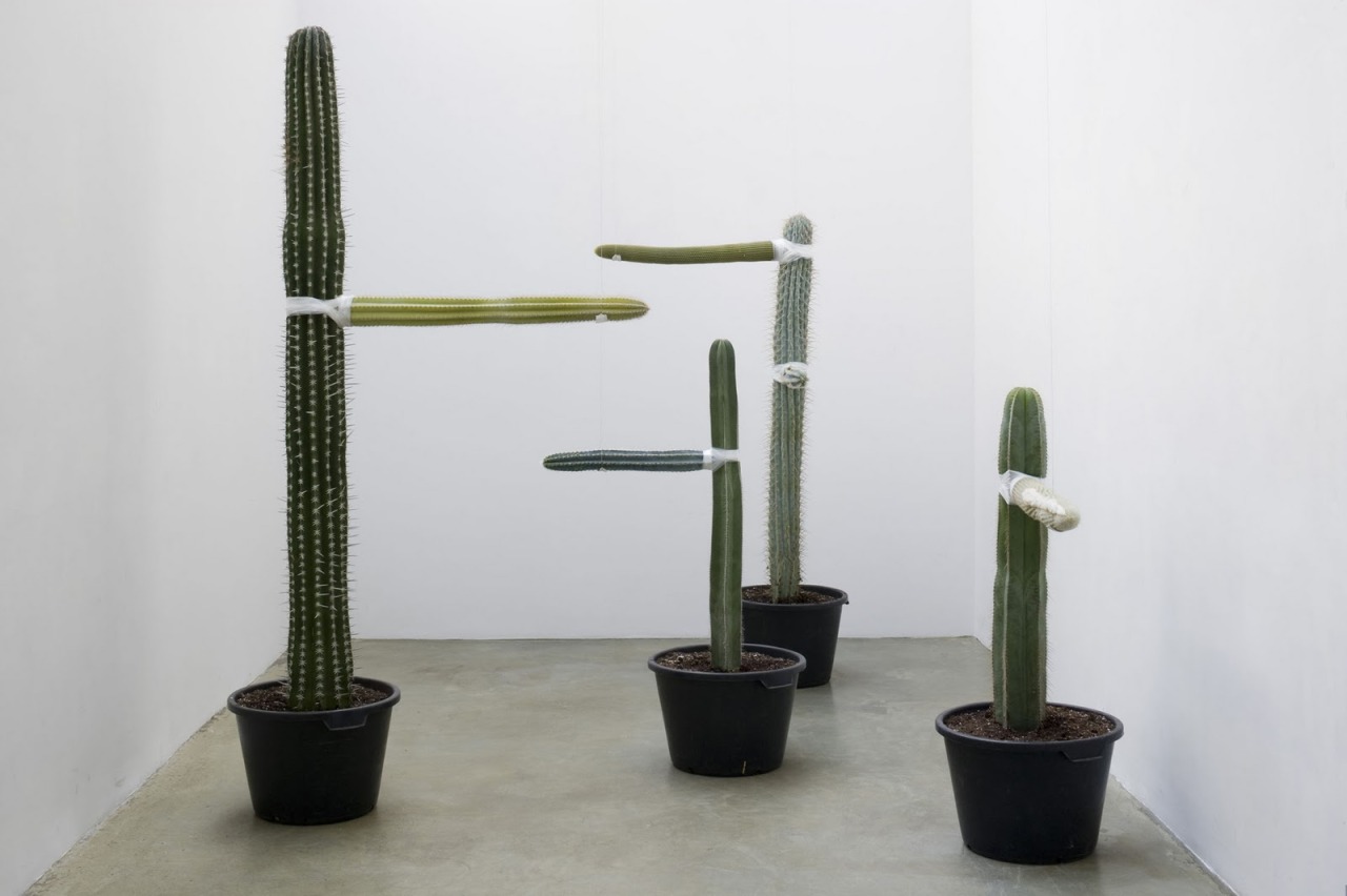 gallowhill:  Allora &amp; Calzadilla - Growth, 2006