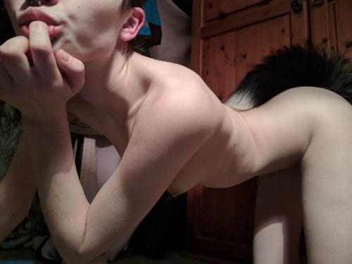 Porn Pics pup-pyrus:Puppy missed having the tail in