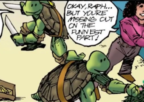 Mirage Turtles Without Masks >>>>