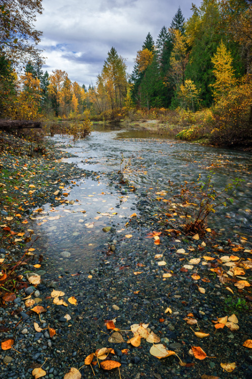 annemckinnell: Nanaimo River, Nanaimo, BC