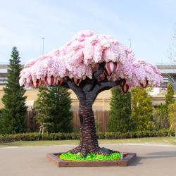 itscolossal:The World’s Largest LEGO Cherry