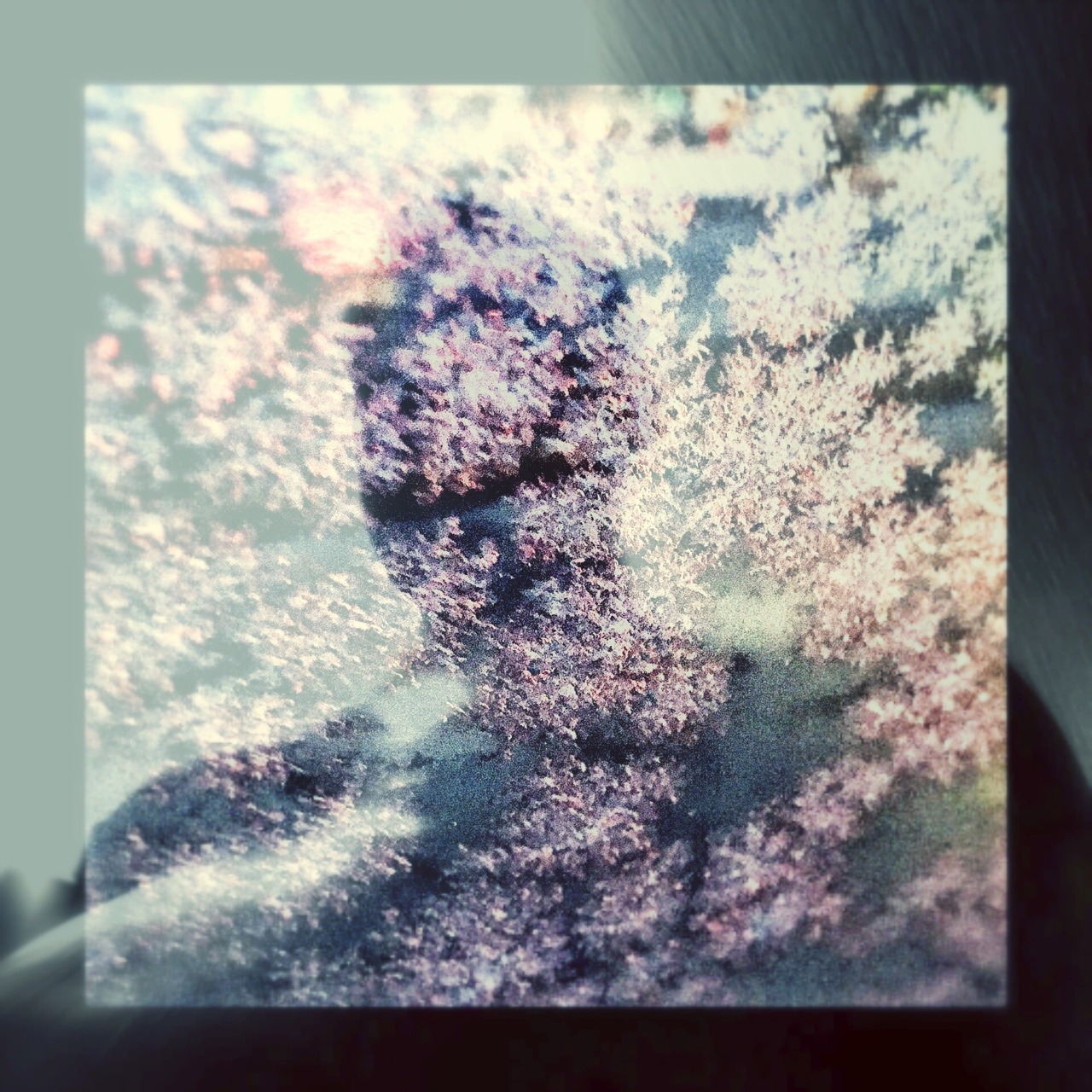 ishallbe-released: “you’re frozen”