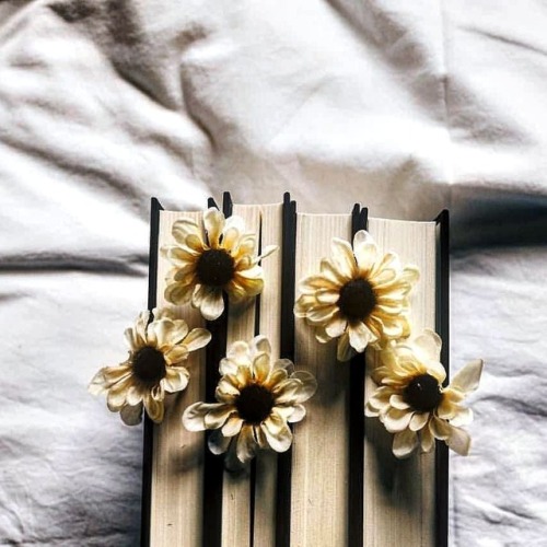 &ldquo;Maybe this is why we read, and why in moments of darkness we return to books: to find wor
