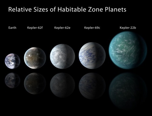 scienceisrad:  thecosmosmadeconscious:  Relative sizes of Kepler habitable zone planets discovered as of 2013 April 18. Except for Earth, these are artists’ renditions.  This is spine tingling.