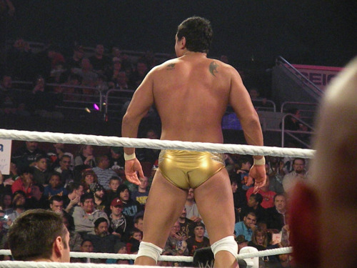 rwfan11:  Alberto Del Rio  porn pictures