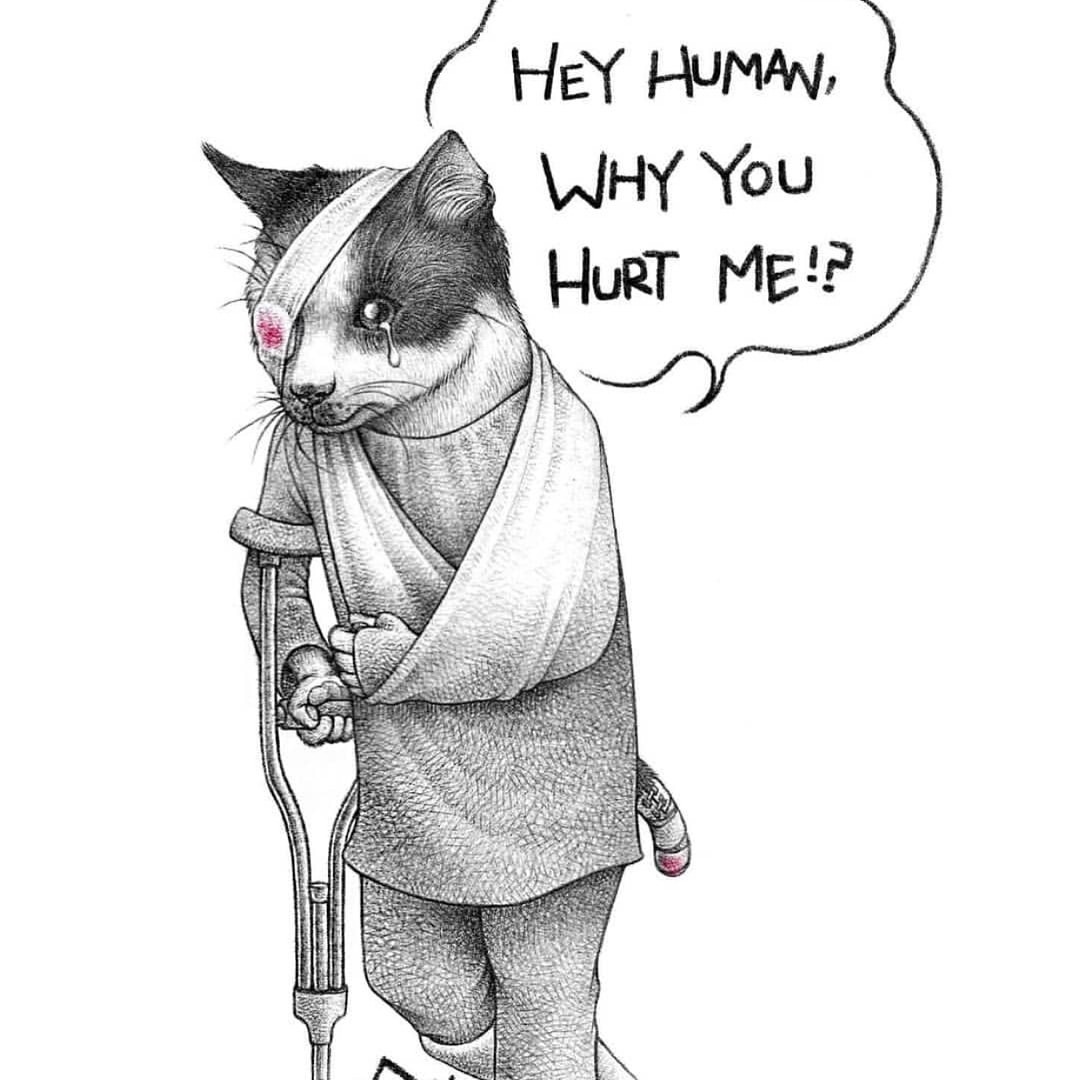 haladeliyim:  Stop Animal Cruelty!  (via Instagram - Artist Unknown) 