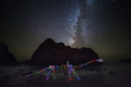 itscolossal:Scribbled Rainbow Light Paintings of Dinosaurs and Other Creatures by Darren Pearson
