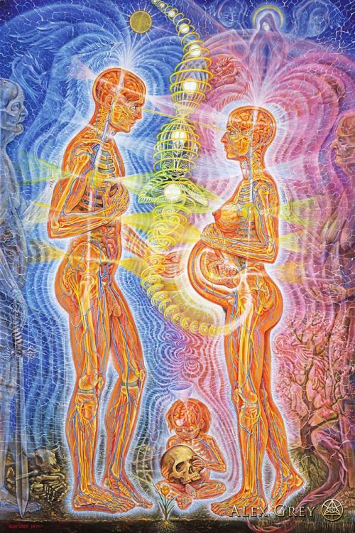 XXX fuckyeahalexgrey:  Alex Grey - Progress of photo