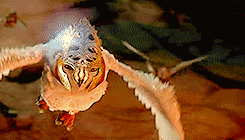 hkctvdramas:  Legend of the Guardians: The Owls of Ga’hoole 
