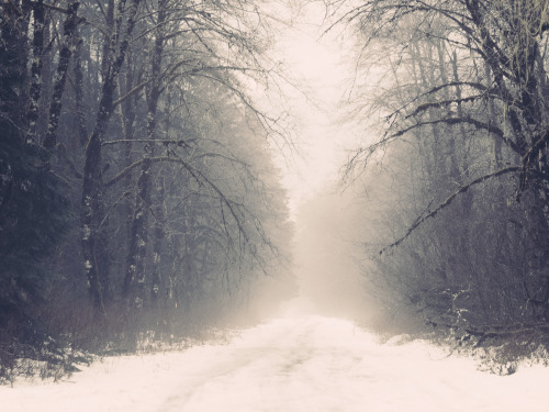 lifeinmotion84:  Winter is coming. 