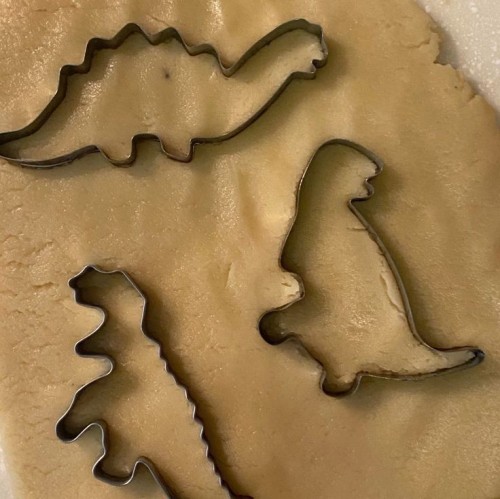 Dinocore