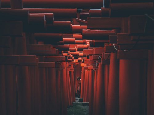 tanuki-kimono: The space in between, eerily beautiful shot showing the other side of famous torii tu