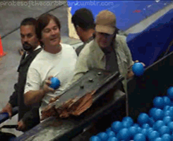 honeyhardcandy:  pretentiousendeavour:   onthedocksoftortuga: This is the best thing