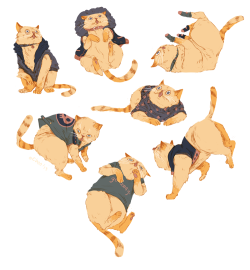 choodraws:  a cat is just a pudding with