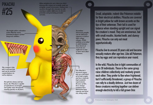 Shoij Otomo and Shogo EndoAn Anatomical Guide to Monsters: Gamera, Godzilla, Gappa, Mothra Larva, An