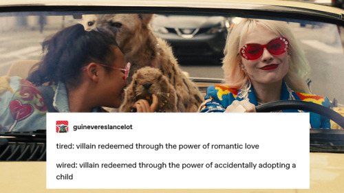 birds of prey + text posts (harley quinn edition)16/?