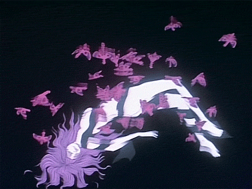 jillianroses:  So much Belladonna love. 