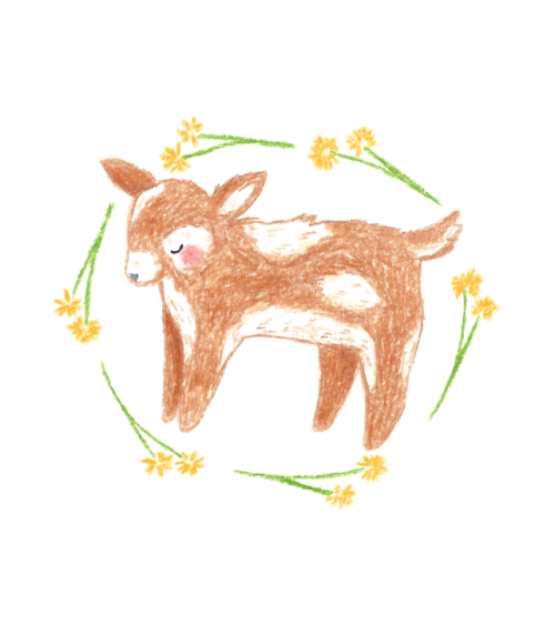 ash-elizabeth-art: Animal Art April day 6: a blushing baby goat