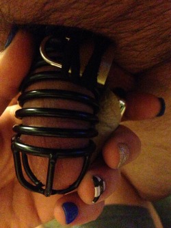 Masterspup-Pet:  My Wonderful  Masterandpup-Pet All Locked Up :) Love The Black Cage.