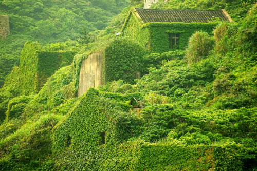 softwaring: Abandoned fishing village on Gouqi island, Zhoushan, China. Photos by Jane Qing.