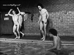 tripnight:  Gregory Harrison (center right): The Harrad Experiment (1973) 