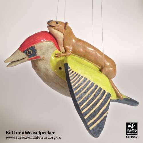 Weasel on a Woodpecker.Being auctioned in aid of Sussex Wildlife Trust