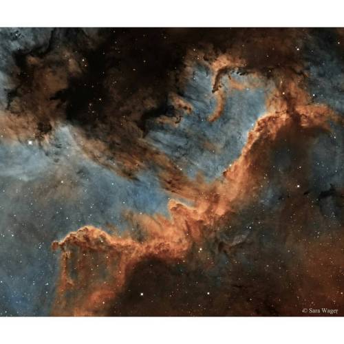 The Cygnus Wall of Star Formation #nasa #apod #cygnus #emissionnebula #northamericannebula #ngc7000 #stars #interstellar #gas #radiation #ionization #space #science #astronomy