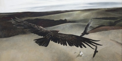 geritsel:Andrew Newell Wyeth - Soaring