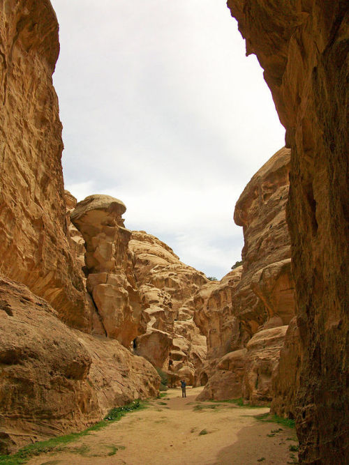 Siq al-Barid or Little PetraLittle Petra is an archaeological site located north of Petra, and like 