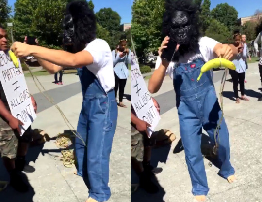 90sdefect:  drankinwatahmelin:  destinyrush:    White guy in a gorilla mask with bananas, rope, and a Confederate flag bag harassed BLM protesters on campus at  East Tennessee State University. The freshman, identified as Tristan Pettke, was handing