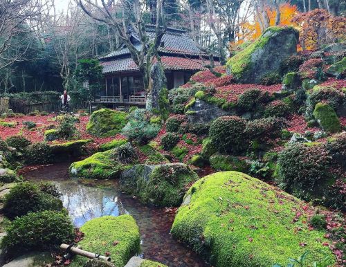 教林坊庭園 [ 滋賀県近江八幡市 ] Kyorinbo Temple Garden, Omihachiman, Shiga の写真・記事を更新しました。 ーー滋賀の紅葉の名所… #聖徳太