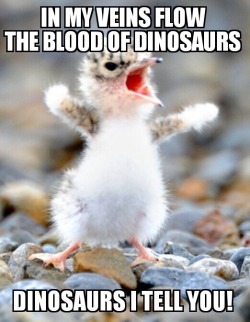 thingsmakemelaughoutloud:  And bingo! Dino DNA!- Funny and Hilarious -