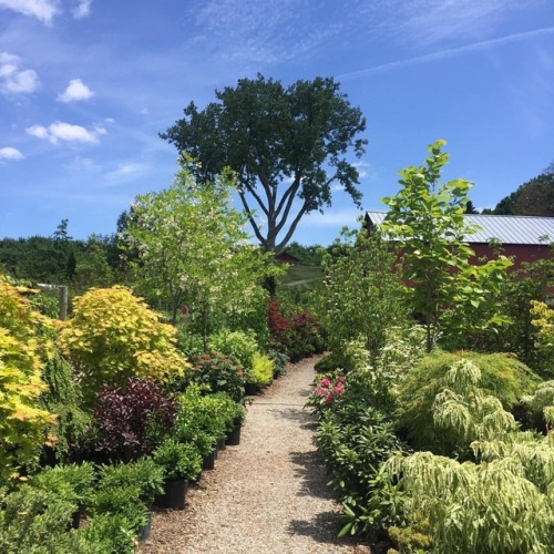 When you go to your happy place with two of your dearest friends and visit @windyhillfarminc instead