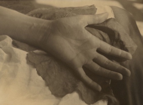 Alfred Stieglitz