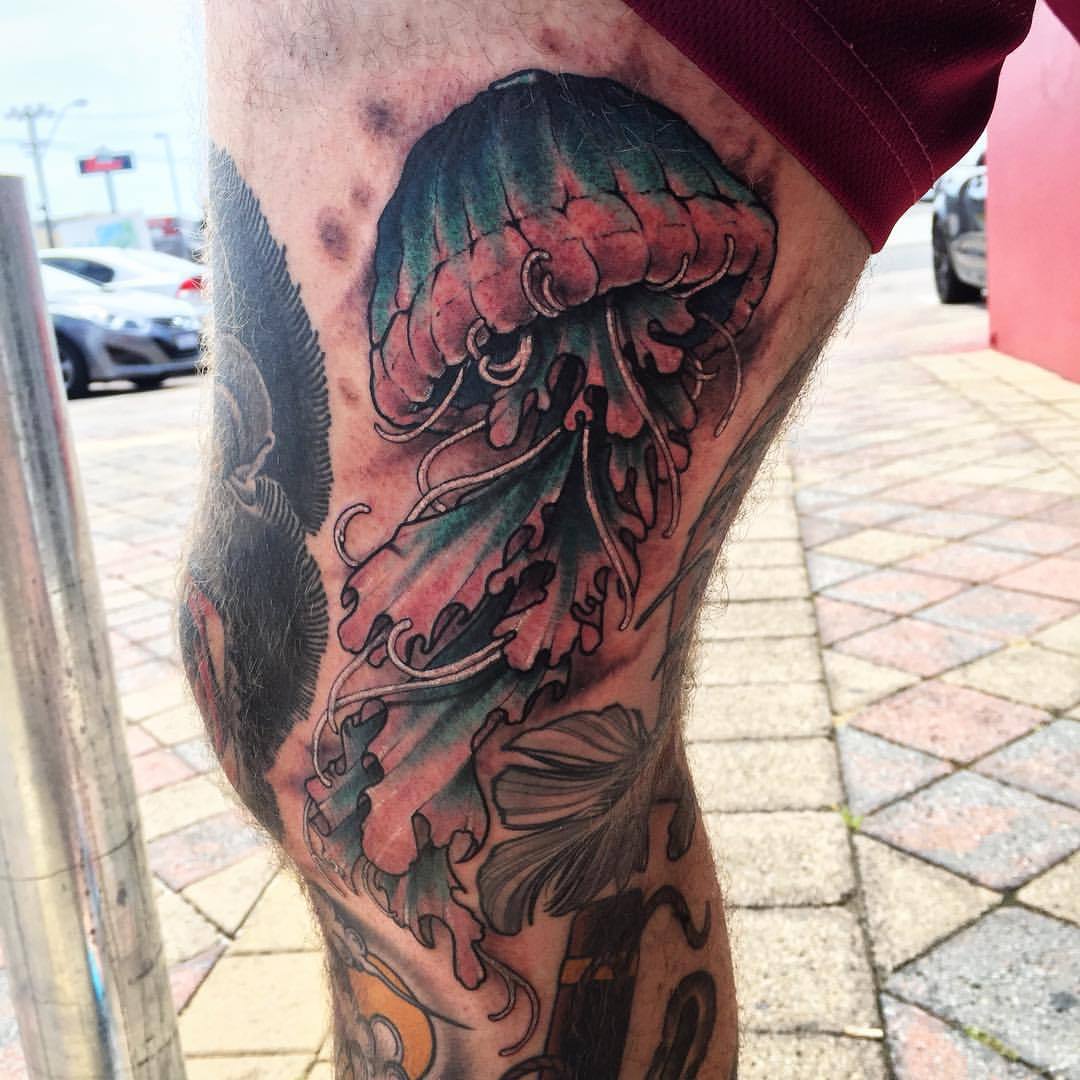 Neotraditional jellyfish on the forearm Tattoo  Official Tumblr page  for Tattoofilter for Men and Women