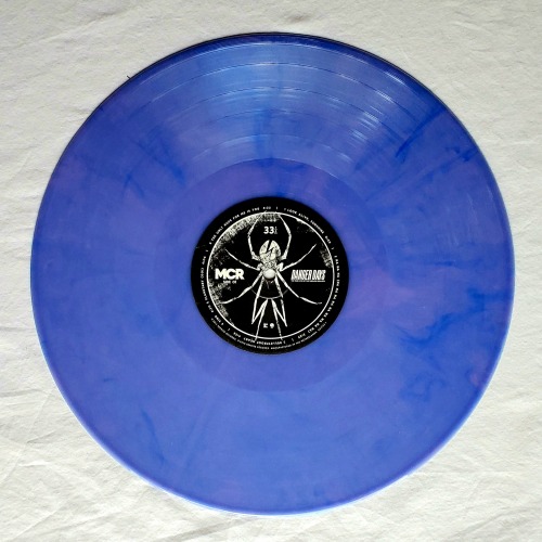 vinylkilledtheradiostar
