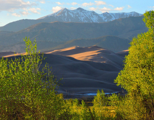 americasgreatoutdoors:Spring green joins nature’s vibrant palette at Great Sand Dunes National Park 