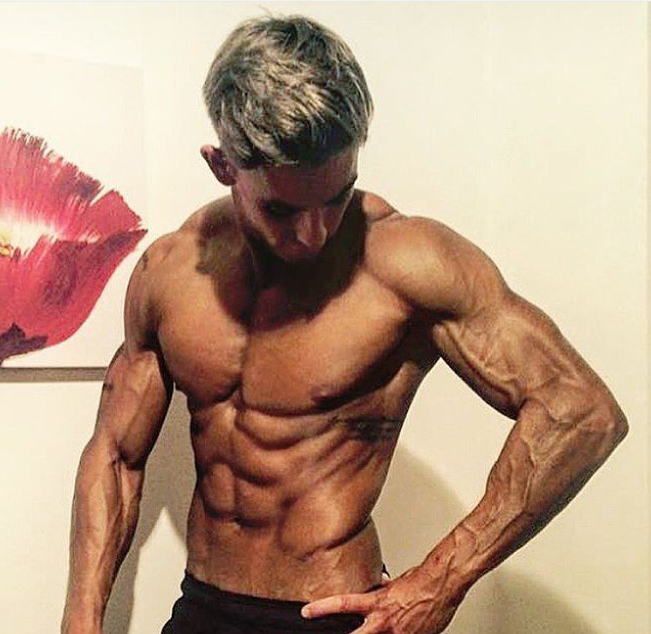 Adonis Files