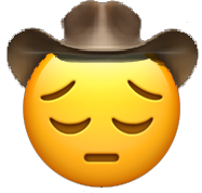 dovahfiin: cmder:  mojav: They need to make 😔 this emoji with 🤠this hat   when they say yeehaw but don’t ask haw yee  